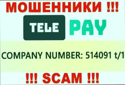 Рег. номер TelePay, который указан мошенниками на их веб-портале: 514091 t/1