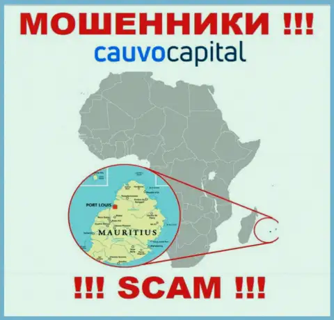 Организация CauvoCapital похищает финансовые вложения людей, расположившись в офшорной зоне - Mauritius