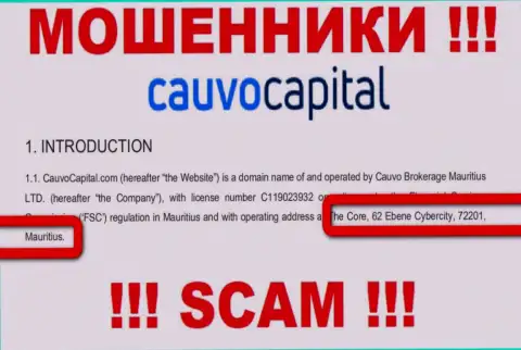 Невозможно забрать назад финансовые активы у CauvoCapital - они прячутся в оффшоре по адресу Коре, 62 Эбене Киберсити, 72201, Маврикий
