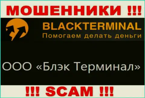 На официальном портале Black Terminal написано, что юридическое лицо компании - ООО Блэк Терминал