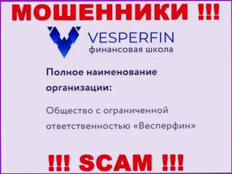 Сведения про юридическое лицо мошенников VesperFin Com - ООО Весперфин, не сохранит Вас от их лап