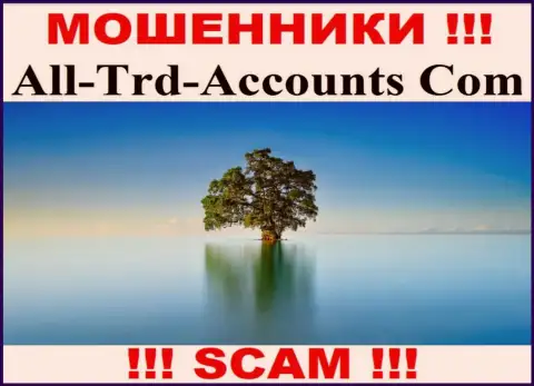 All Trd Accounts сливают денежные активы и остаются без наказания - они прячут информацию о юрисдикции