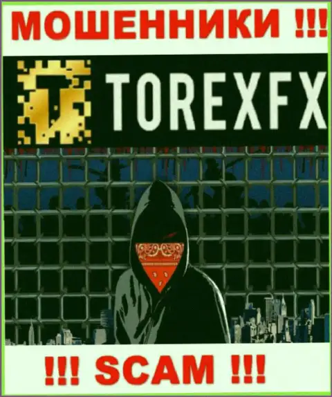 TorexFX Com не разглашают данные об руководителях организации
