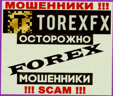 Сфера деятельности TorexFX 42 Marketing Limited: Forex - отличный заработок для internet-жуликов
